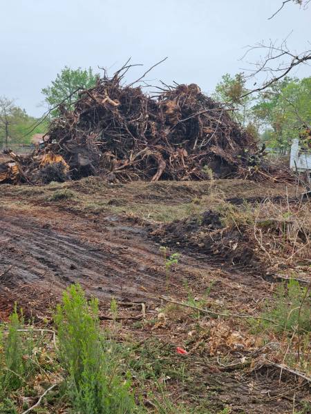 Nettoyage d'un terrain boisé  de 3ha  sur la commune de Pian Médoc prés de Bordeaux : pour construction neuve