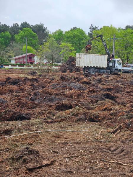 Nettoyage d'un terrain boisé  de 3ha  sur la commune de Pian Médoc prés de Bordeaux : pour construction neuve