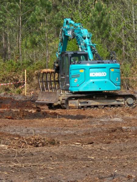 Nettoyage d'un terrain boisé  de 3ha  sur la commune de Pian Médoc prés de Bordeaux : pour construction neuve