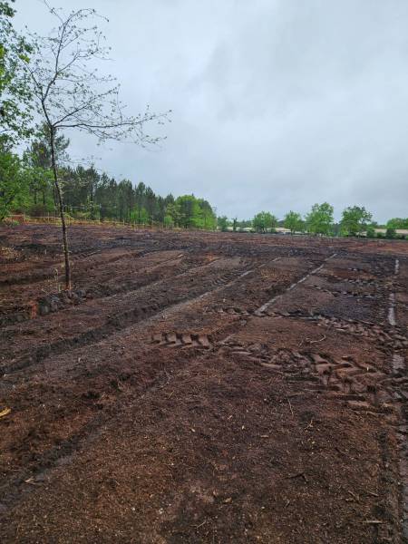 Nettoyage d'un terrain boisé  de 3ha  sur la commune de Pian Médoc prés de Bordeaux : pour construction neuve