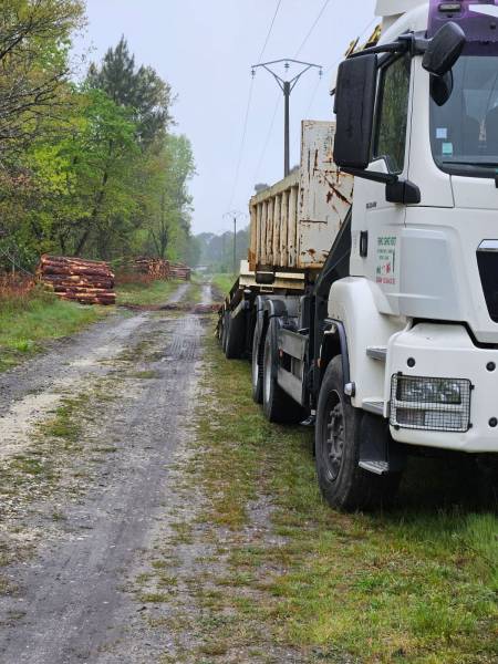 Nettoyage d'un terrain boisé  de 3ha  sur la commune de Pian Médoc prés de Bordeaux : pour construction neuve