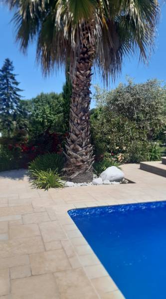 Aménagement de massifs en bordures de piscine à Martillac au sud de Bordeaux