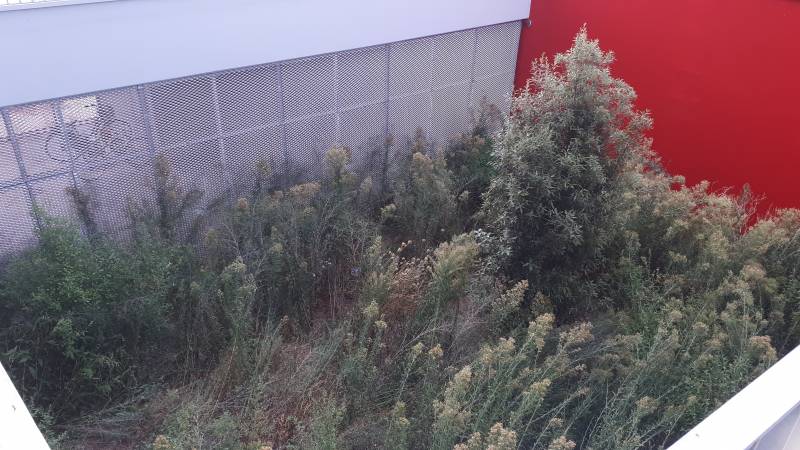 Aménagement paysagiste d'un Patio à Bègles proche de Bordeaux