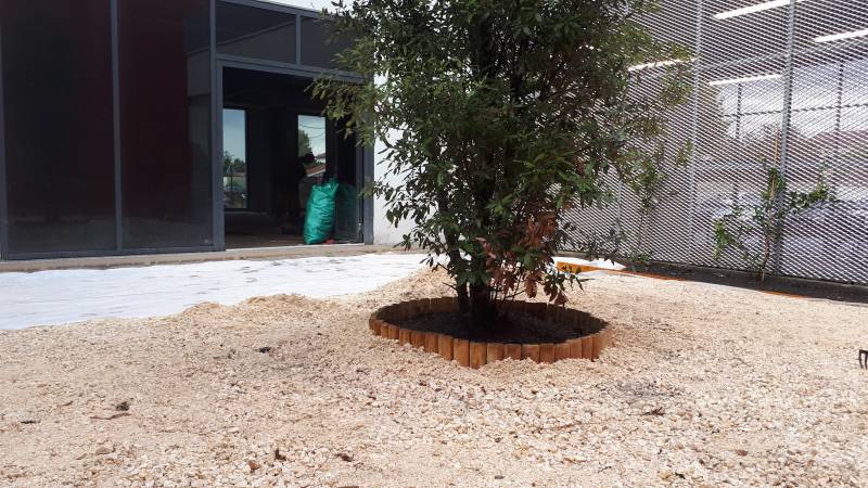 Aménagement paysagiste d'un Patio à Bègles proche de Bordeaux