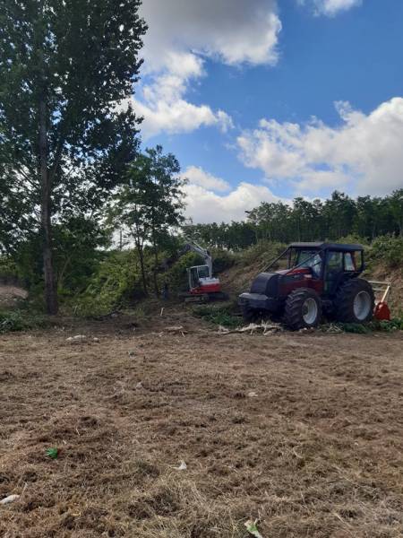 Débroussaillage forestier à Pessac proche de Bordeaux