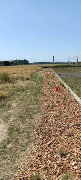 Aménagement des abords d'une église et d'un séchoir près de Langon