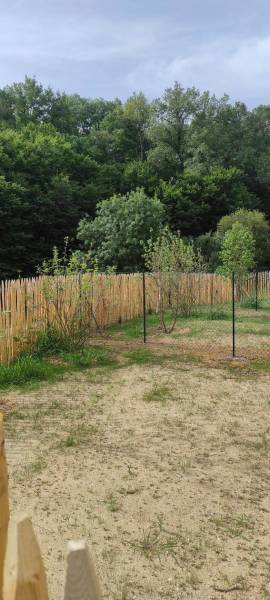 Aménagement paysager d'un lotissement suite à une réponse pour un appel d'offre.