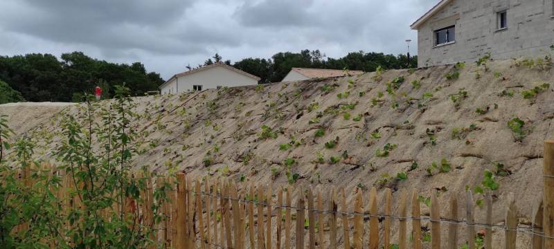 Aménagement paysager d'un lotissement suite à une réponse pour un appel d'offre.