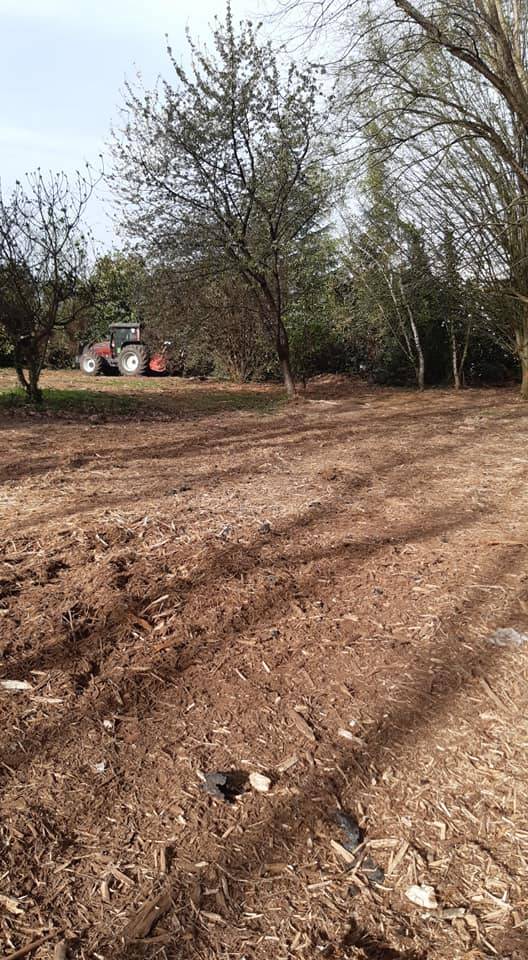  entreprise pour Nettoyage forestier et abattage sur un terrain à Pau pour l'aménagement d'une base de loisir