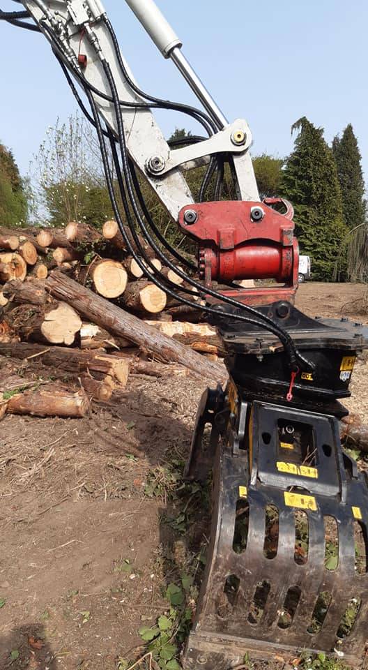 Nettoyage forestier et abattage sur un terrain à Pau pour l'aménagement d'une base de loisir