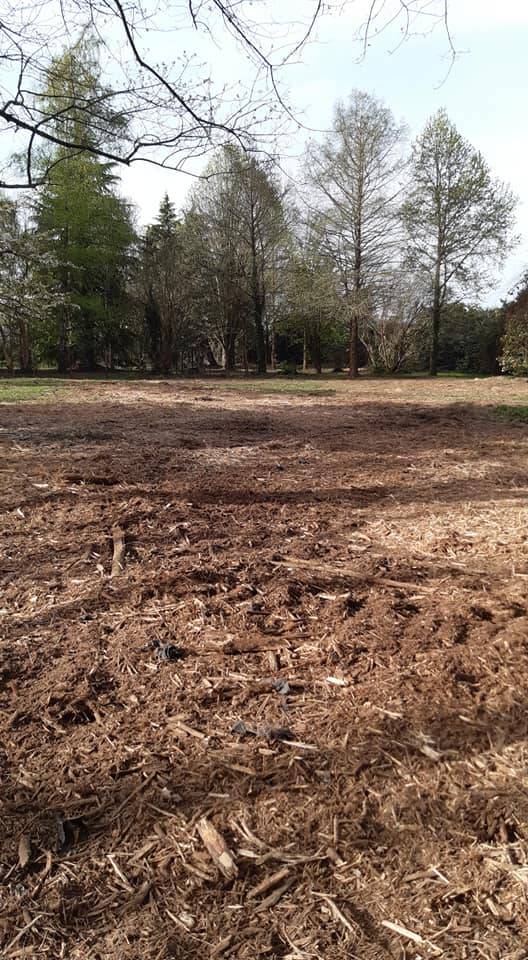  Abattage d'arbres  sur un terrain autour de  Pau pour l'aménagement d'une base de loisir