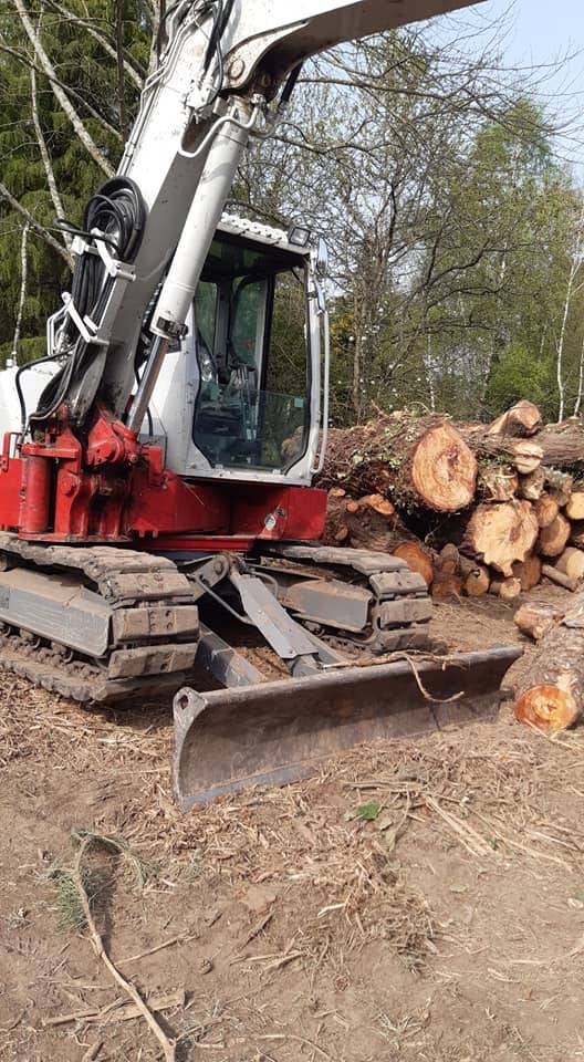Nettoyage forestier et abattage sur un terrain à Pau pour l'aménagement d'une base de loisir