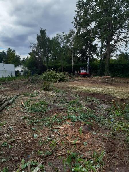 Débroussaillage forestier à Pessac proche de Bordeaux