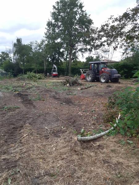 Débroussaillage forestier à Pessac proche de Bordeaux