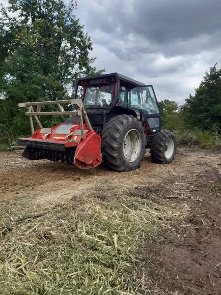 Débroussaillage forestier à Pessac proche de Bordeaux
