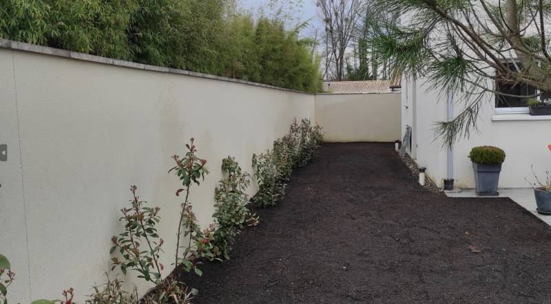 Création d'un massif exotique pour un jardin à Martillac près de Léognan