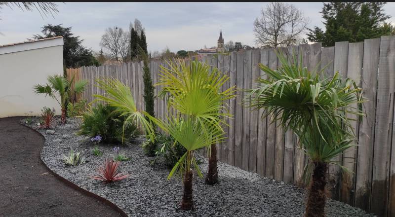 Création d'un massif exotique pour un jardin à Martillac près de Léognan
