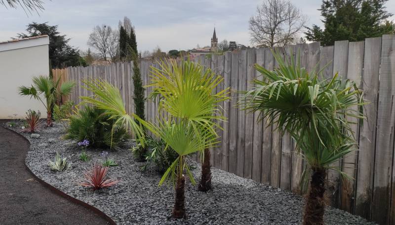Création d'un massif exotique pour un jardin à Martillac près de Léognan