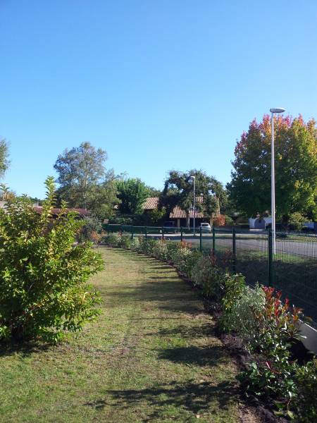 Création d'une clôture doublée d'une haie arbustive à Léognan près de Bordeaux