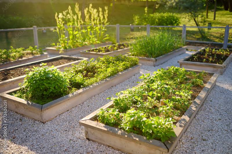 Quelques idées d'aménagement pour votre jardin