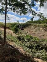 Notre zone d'activité pour ce service Elagueur à proximité de moi à