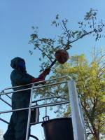 Nos prestations sur le secteur de Cestas (33610)